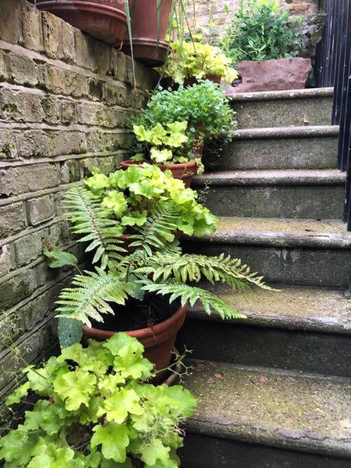 Villa Kings Cross, Self-Contained House & Private Garden London Exterior foto