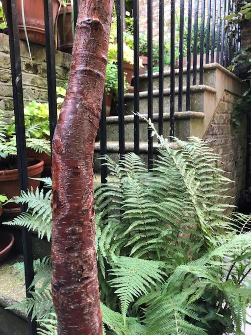 Villa Kings Cross, Self-Contained House & Private Garden London Exterior foto